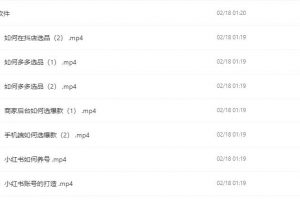 小红书电商从入门到精通 开店、选品、笔记、剪辑…(638.3MB)