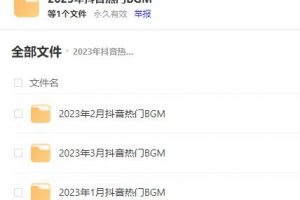 2023年抖音短视频热门BGM背景音乐(2.3GB)